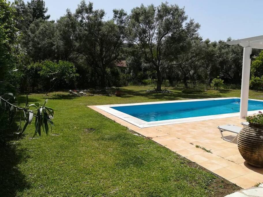 Villa Erietta Near Lefkas Center Apolpaina 외부 사진